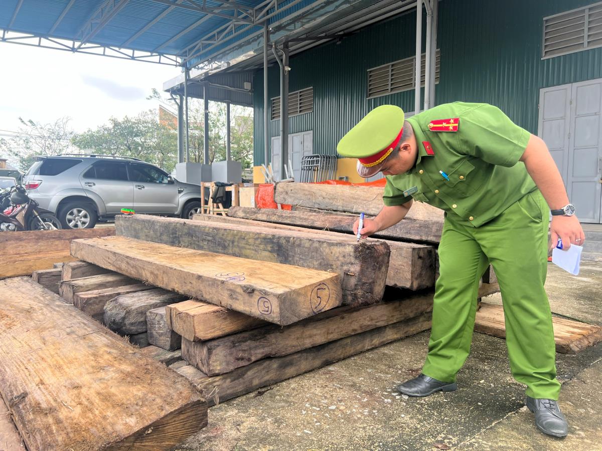 Phòng cảnh sát kinh tế công an tỉnh Thừa Thiên-Huế phát hiện gỗ lậu tại cơ sở Đức Thanh