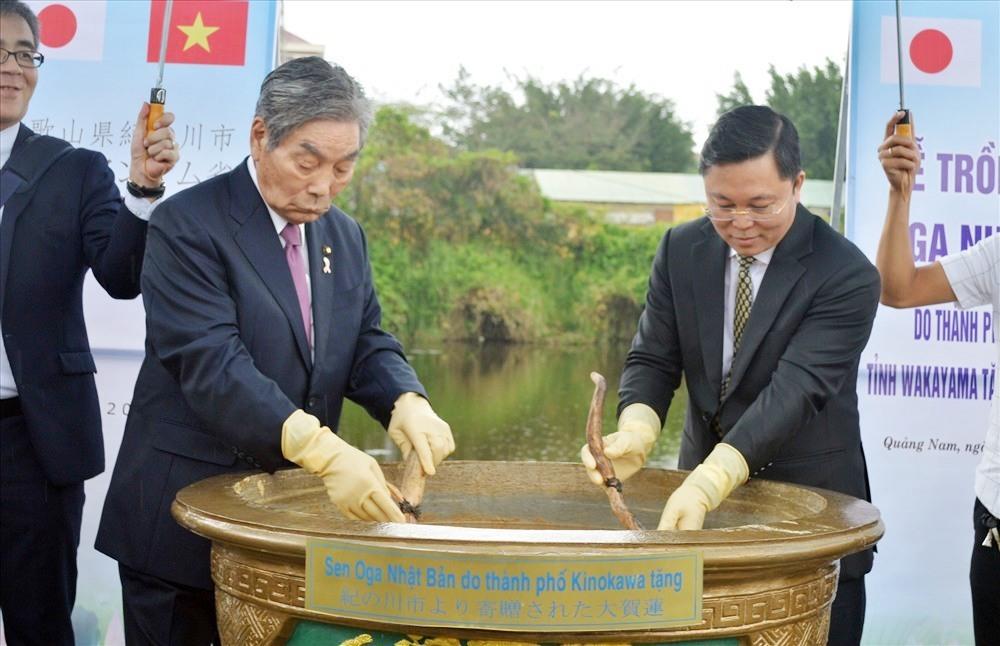 Anh Mai Chí Công đang chăm sóc giống sen cổ Oga trên cánh đồng.