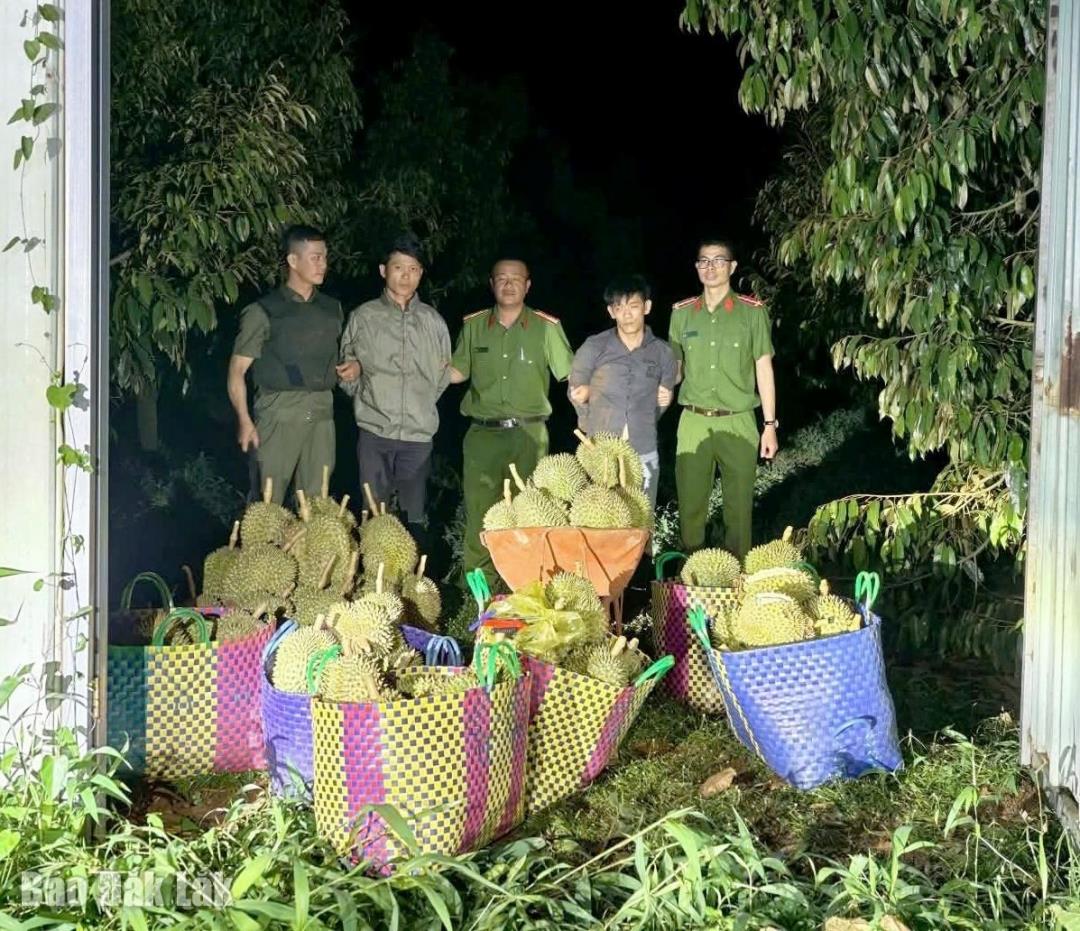 Lực lượng chức năng bắt giữ các đối tượng. (ảnh: BĐL)