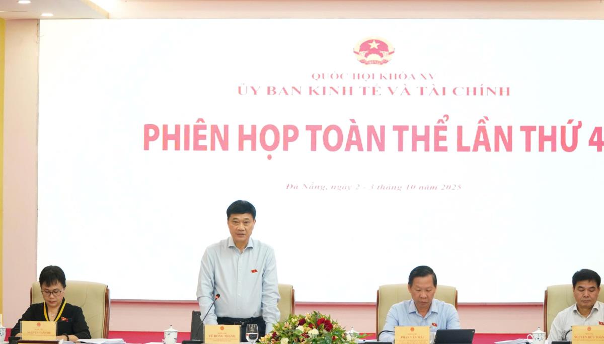 Phó Chủ tịch Quốc hội Vũ Hồng Thanh phát biểu tại phiên họp.