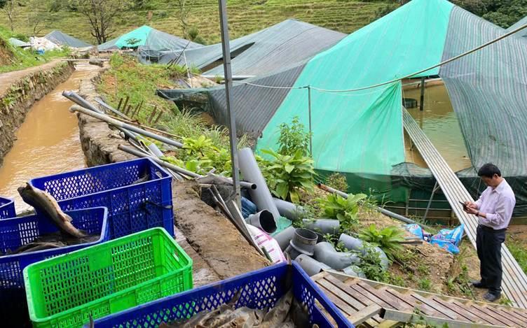 Ước khoảng 70 tấn cá tầm bị thiệt hại.