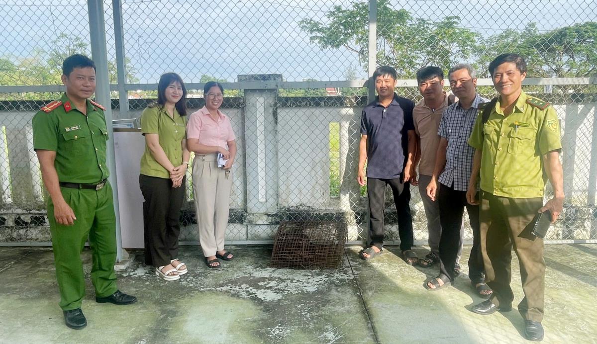 Lực lượng Công an và Kiểm lâm tiếp nhận cá thể rùa vàng do người dân giao nộp.