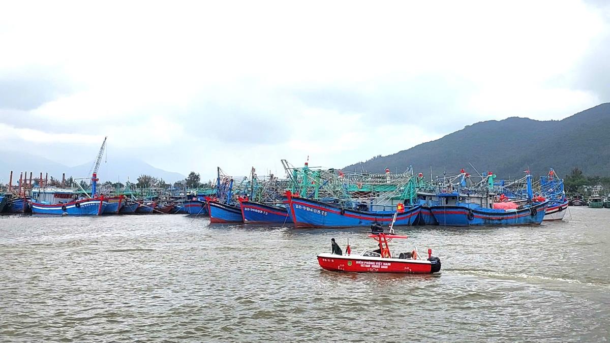 Lễ cắt băng khánh thành và gắn biển công trình dự án.