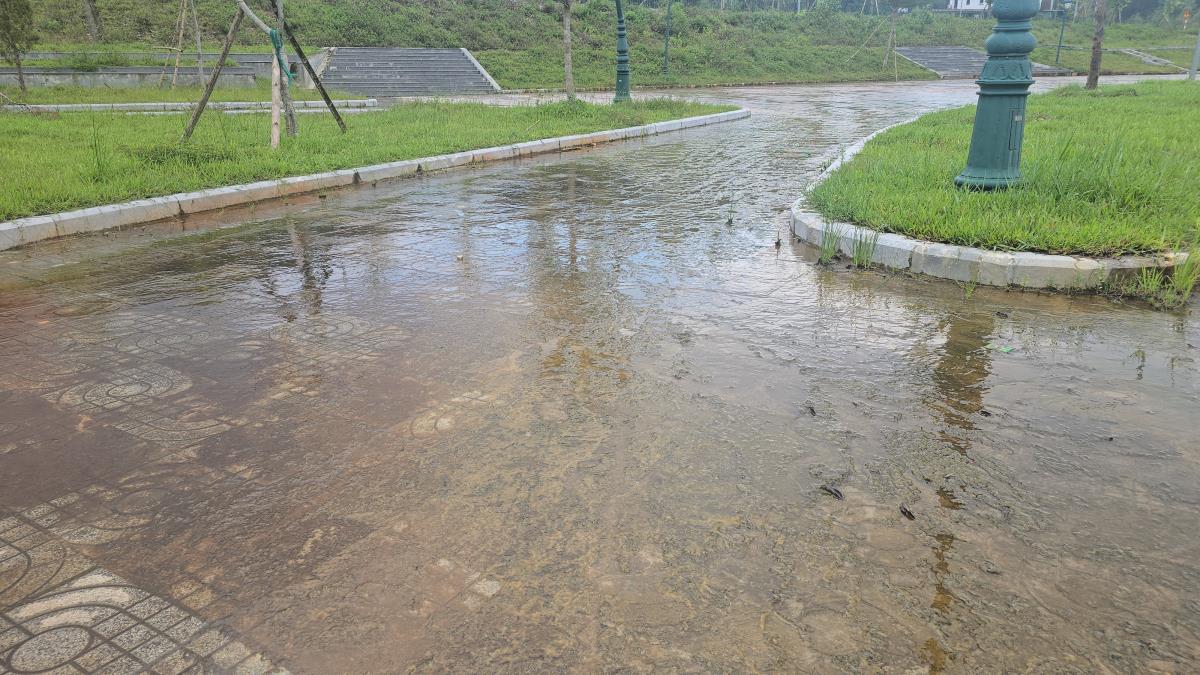 Nước đọng khiến rêu xanh phủ đầy gây trơn trượt.