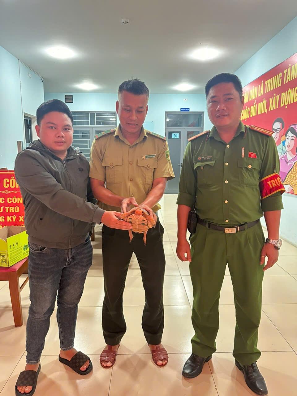 Anh Tài (đứng bên trái) giao nộp cá thể rùa cho lực lượng chức năng.