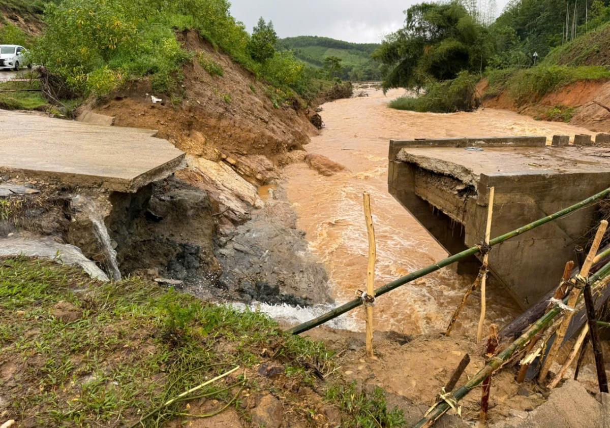 Các lực lượng cùng người dân dùng tre, ván dựng cầu tạm