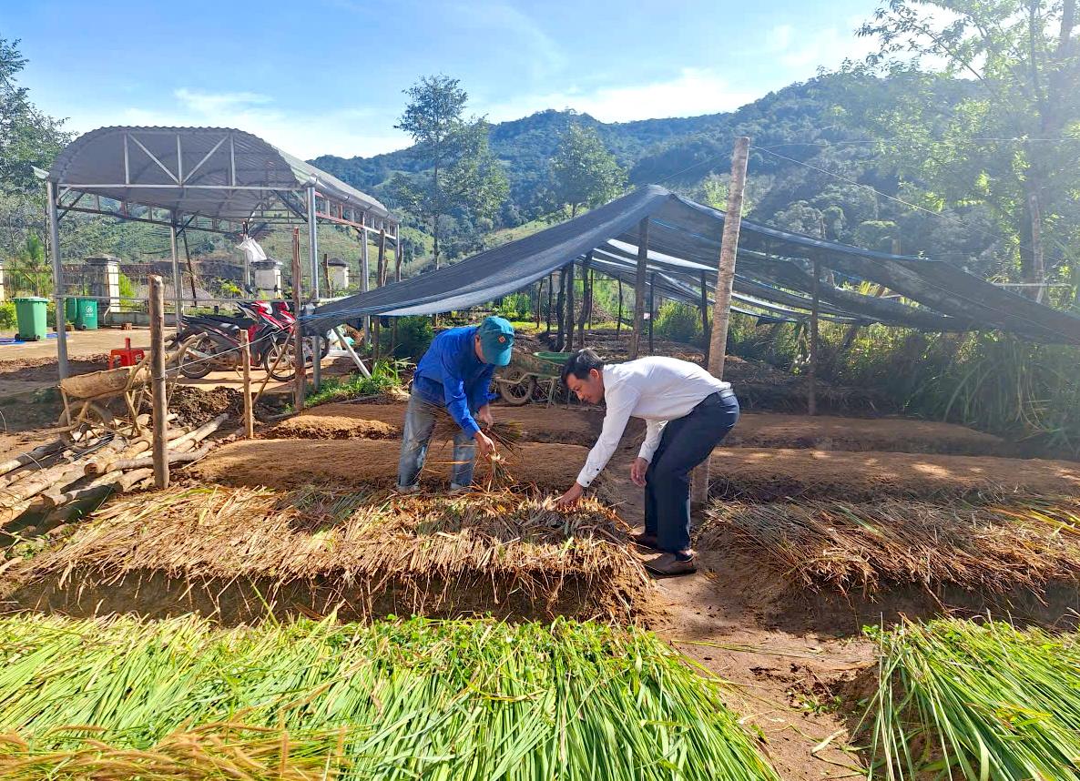 Cán bộ và người dân xã Tu Mơ Rông xây dựng vườn ươm.