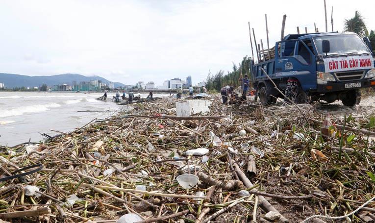 Các tốp công nhân đảo ca liên tục để giải phóng rác khỏi bãi biển.
