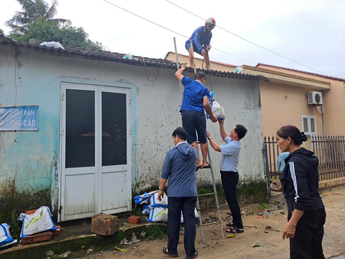 Các lực lượng địa phương khẩn trương đốn hạ cây, chằng chống mái tôn các trụ sở hành chính, trường học, nhà dân để bảo vệ tài sản khi cơn bão đi qua.