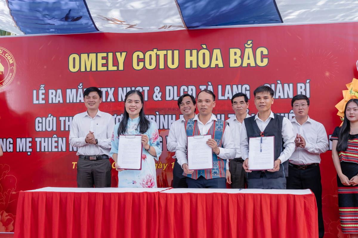 Mô hình trồng nho ở thôn Nam Yên, Hòa Bắc.