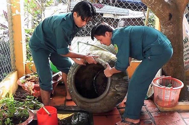 Đà Nẵng yêu cầu ngành y tế, các địa phương triển khai chiến dịch diệt lăng quăng/bọ gậy để phòng chống dịch sốt xuất huyết, Chikungunya.
