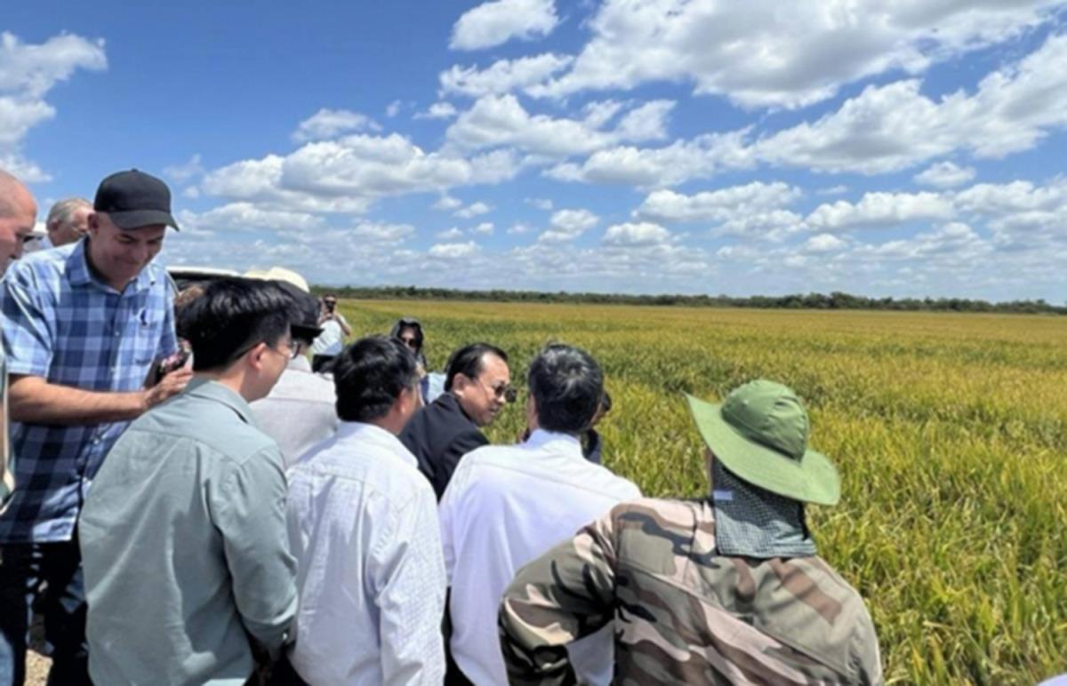 Thu hoạch vụ mùa đầu tiên.