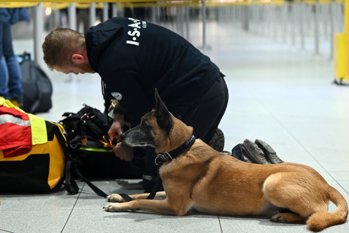 Một chú chó thuộc đội cứu hộ chờ khởi hành tại Sân bay Cologne/Bonn, ở Cologne, Đức, để tới Thổ Nhĩ Kỳ.
