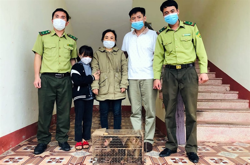 Gia đình chị Hồng giao nộp 2 cá thể khỉ cho VQG Vũ Quang.