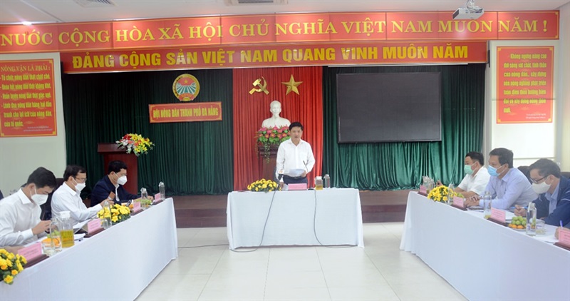 Lãnh đạo Hội Nông dân thành phố Đà Nẵng thăm mô hình trồng rau thủy canh của ông Hồ Nguyên Liệu, ở phường Hòa Phát, quận Cẩm Lệ. Ảnh: Đăng Bình