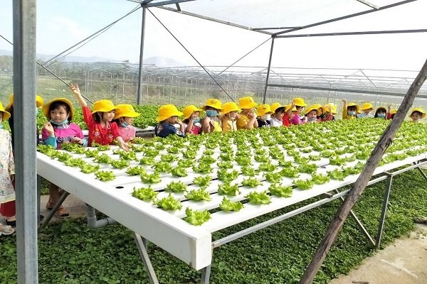Hòa Vang phát triển mô hình trồng hoa trong nhà để bán và phục vụ du lịch.