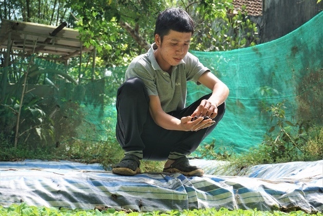 Anh Cao Hữu Việt đang thành công trong việc nuôi ốc bươu đen trong hồ lót bạt.