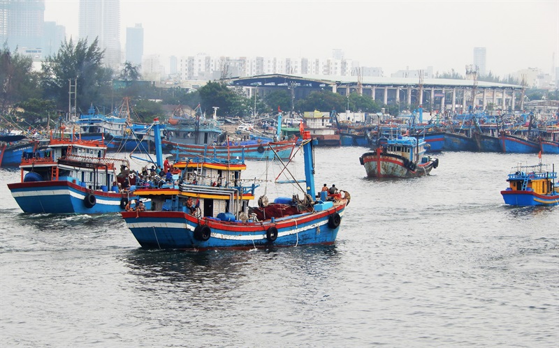 Tàu cá của ngư dân ra vào cảng cá Thọ Quang.