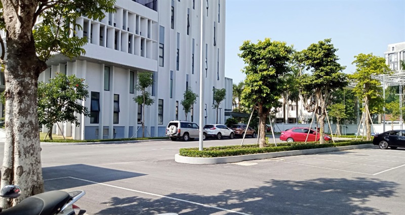 Khuôn viên Sở Tài chính tỉnh Nghệ An được “lấp đầy” hàng chục cây xanh nhưng vẫn muốn “dặm” thêm.