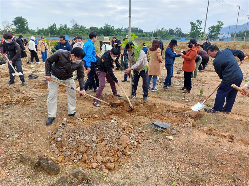 các đoàn viên, người lao động thuộc Liên đoàn Lao động thành phố Đà Nẵng tham gia tết trồng cây