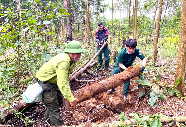 Ông Lê Văn Ba bất chấp nguy hiểm để thu thập chứng cứ tố cáo "lâm tặc" phá rừng, chiếm đất rừng.