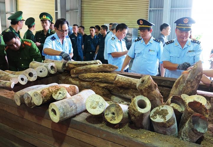 Các lực lượng chức năng của TP Đà Nẵng phối hợp triệt phá vụ buôn lậu động vật hoang dã qua cảng Tiên Sa.