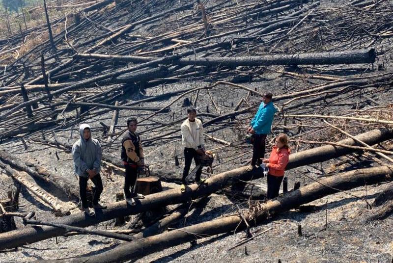 Các đối tượng tại hiện trường vụ phá rừng.