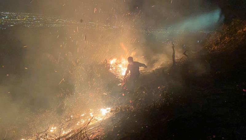 Chí cục Kiểm lâm Đà Nẵng yêu cầu xử lý nghiêm các vi phạm về phòng cháy, chữa cháy rừng