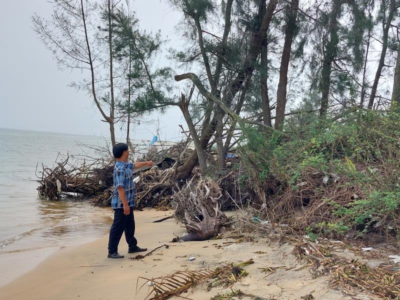 Chưa vào mùa hè năm 2023, biển vẫn xâm thực dữ dội, ngày ngày cuốn ra biển vườn đất của người dân ở thôn Trung Phường, Duy Hải.