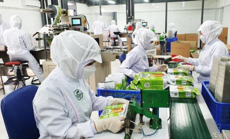 Sản xuất sản phẩm bánh dừa nướng đạt tiêu chuẩn sản phẩm OCOP Đà Nẵng tại Công ty TNHH Mỹ Phương Food.