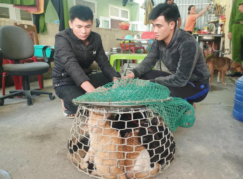 2 “miêu tặc” bị bắt giữ cùng tang vật.