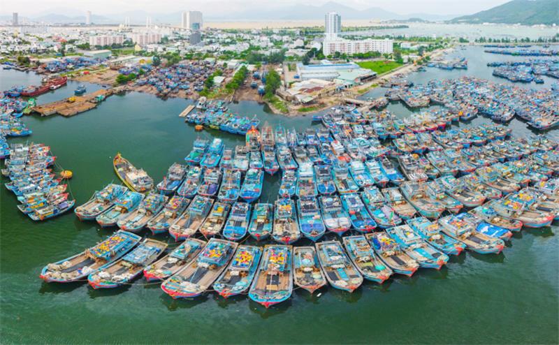 Đà Nẵng thực hiện các biện pháp mạnh chống khai thác hải sản bất hợp pháp