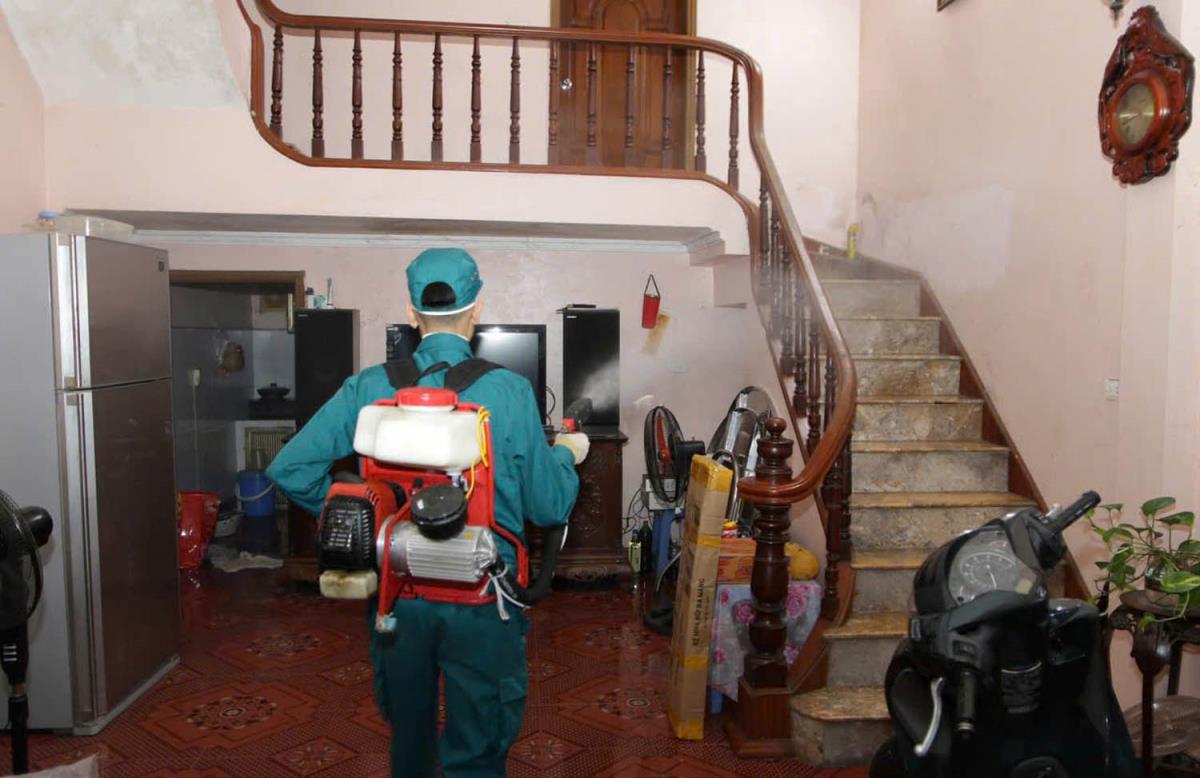Dịch sốt xuất huyết đã có nhiều thay đổi về chu kỳ