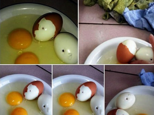 Bức ảnh quả trứng bất ngờ trở thành hình ảnh được nhiều like nhất trên  Instagram  Báo Dân trí