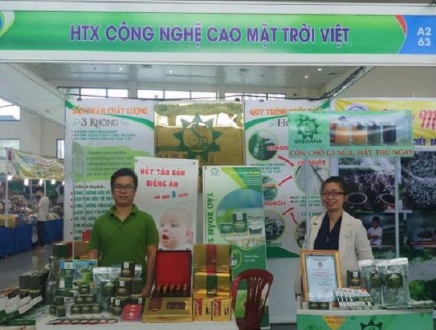 Rẽ Hướng Thành Công Với Tảo Xoắn