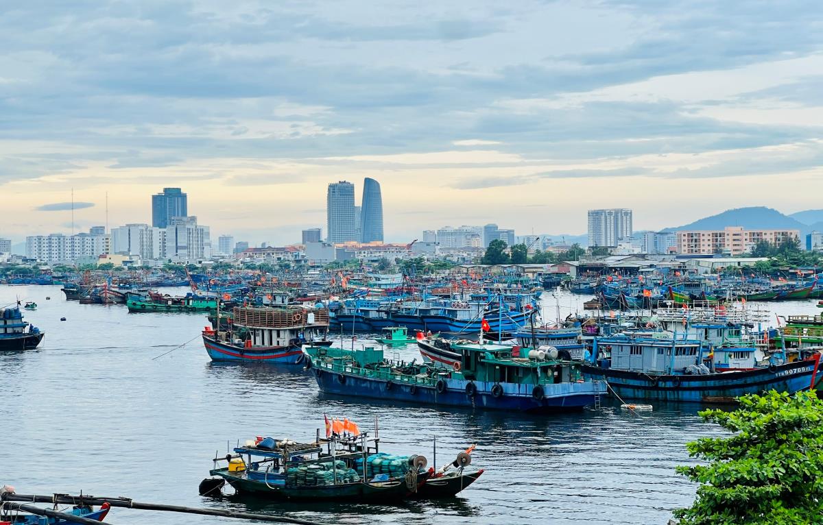 Thành phố Đà Nẵng hiện có hơn 4.061 tàu cá đang hoạt động tại các địa phương.