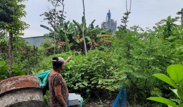 Chính quyền nói gì trước phản ánh Xí nghiệp Lâm đặc sản Tam Kỳ gây ô nhiễm môi trường?