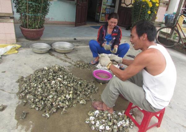 Mưu sinh bằng nghề bắt hàu trên sông