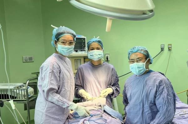 Những bóng hồng Blouse trắng cùng tỏa sáng