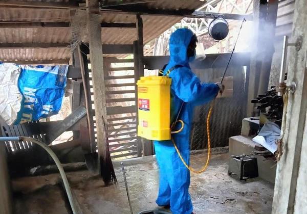 Đà Nẵng chủ động triển khai các biện pháp phòng, chống dịch bệnh