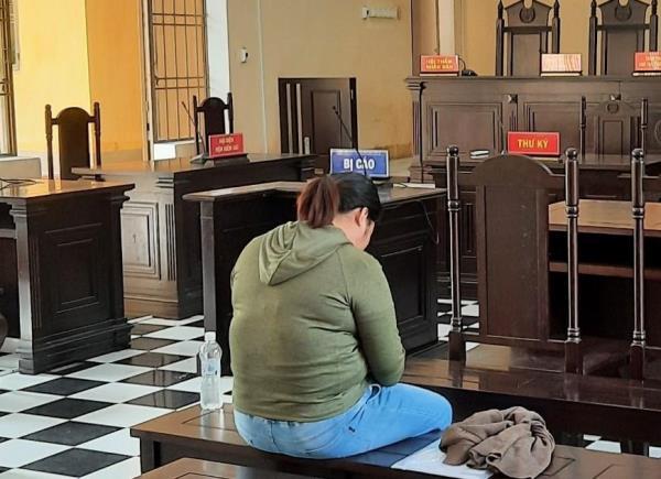 Nữ quái làm giả sổ đỏ chiếm đoạt hơn 700 triệu đồng