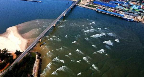 Khẩn nhưng không được vội