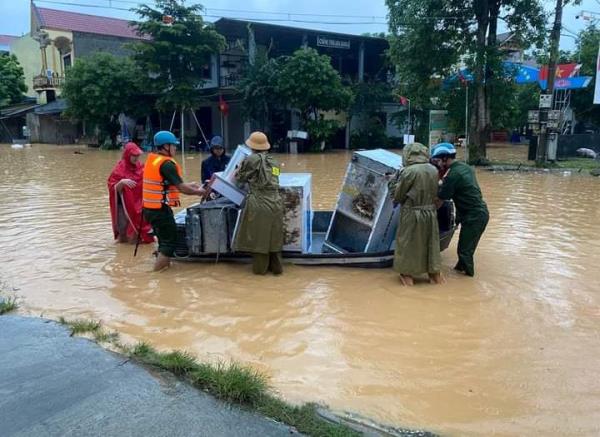 Nhiều địa phương ở Nghệ An bị ngập lụt, sạt lở, chia cắt
