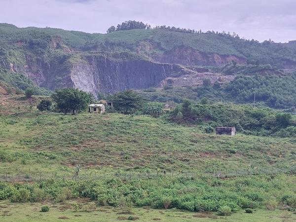 Hàng chục héc-ta đất nông nghiệp bị hoang hóa