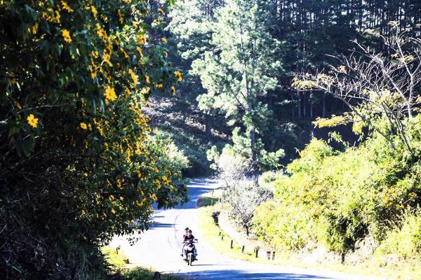 Những con dốc chùng khói sương