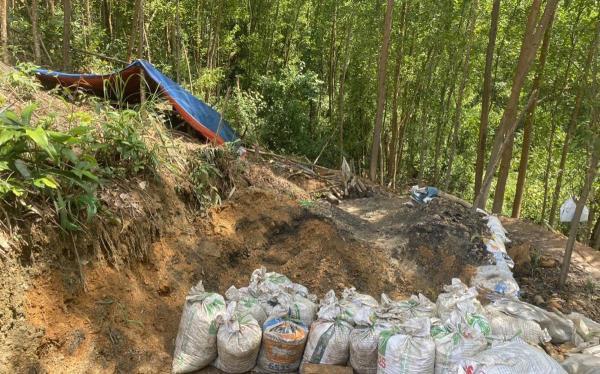 Truy quét vàng tặc