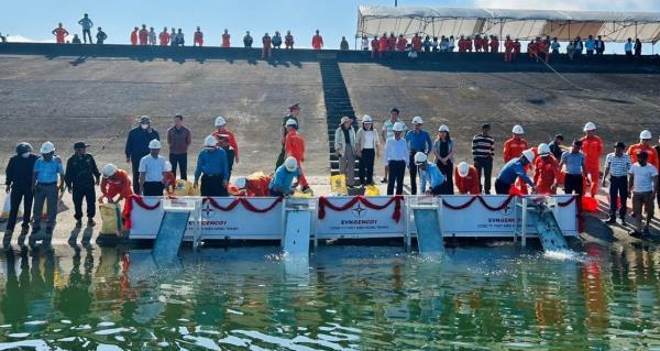 Thả 100.000 con cá giống tái tạo nguồn lợi thủy sản hồ Thủy điện Sông Tranh 2