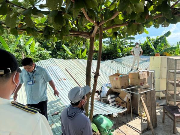 Xử lý điểm du lịch trái phép ù lì trên rừng Hải Vân