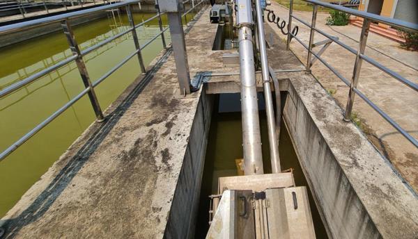 Dài cổ chờ nhà máy xử lý nước thải