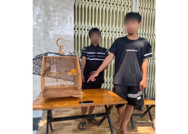 Xử lý 2 sửu nhi thích săn đêm